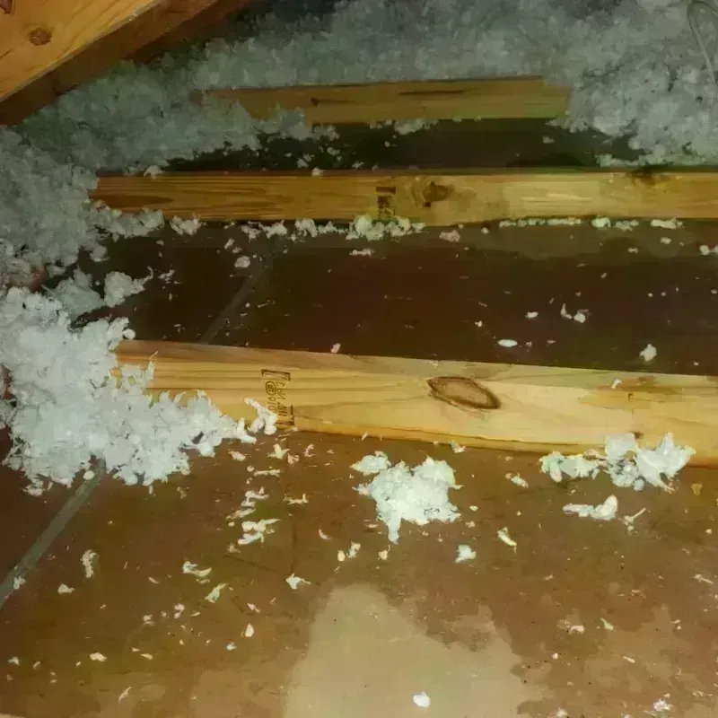 Attic Water Damage in Glendale, MO