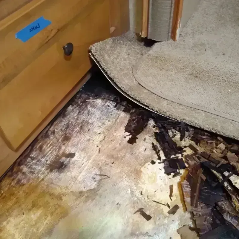 Wood Floor Water Damage in Glendale, MO